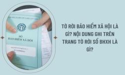 Tờ rời bảo hiểm xã hội là gì? Nội dung tờ rời bảo hiểm xã hội